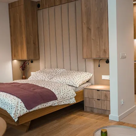Apartament Cicha 16/ 7A - Miejsce Parkingowe W Garazu Krynica-Zdrój Exterior foto